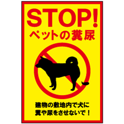 STOP!ڥåȤʵǢ